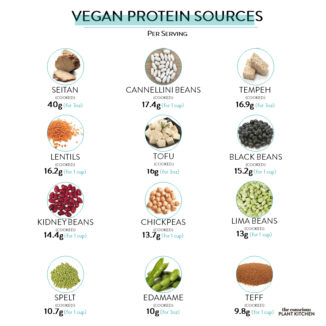 Best Vegan Protein - The Conscious Plant Kitchen