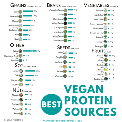 Best Vegan Protein Sources - The Conscious Plant Kitchen