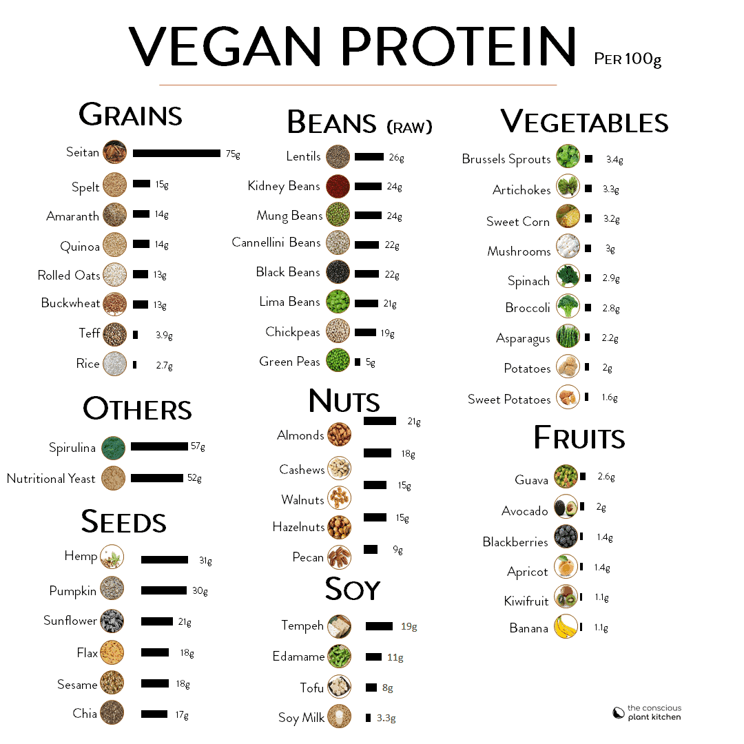 Best Vegan Protein Sources - The Conscious Plant Kitchen