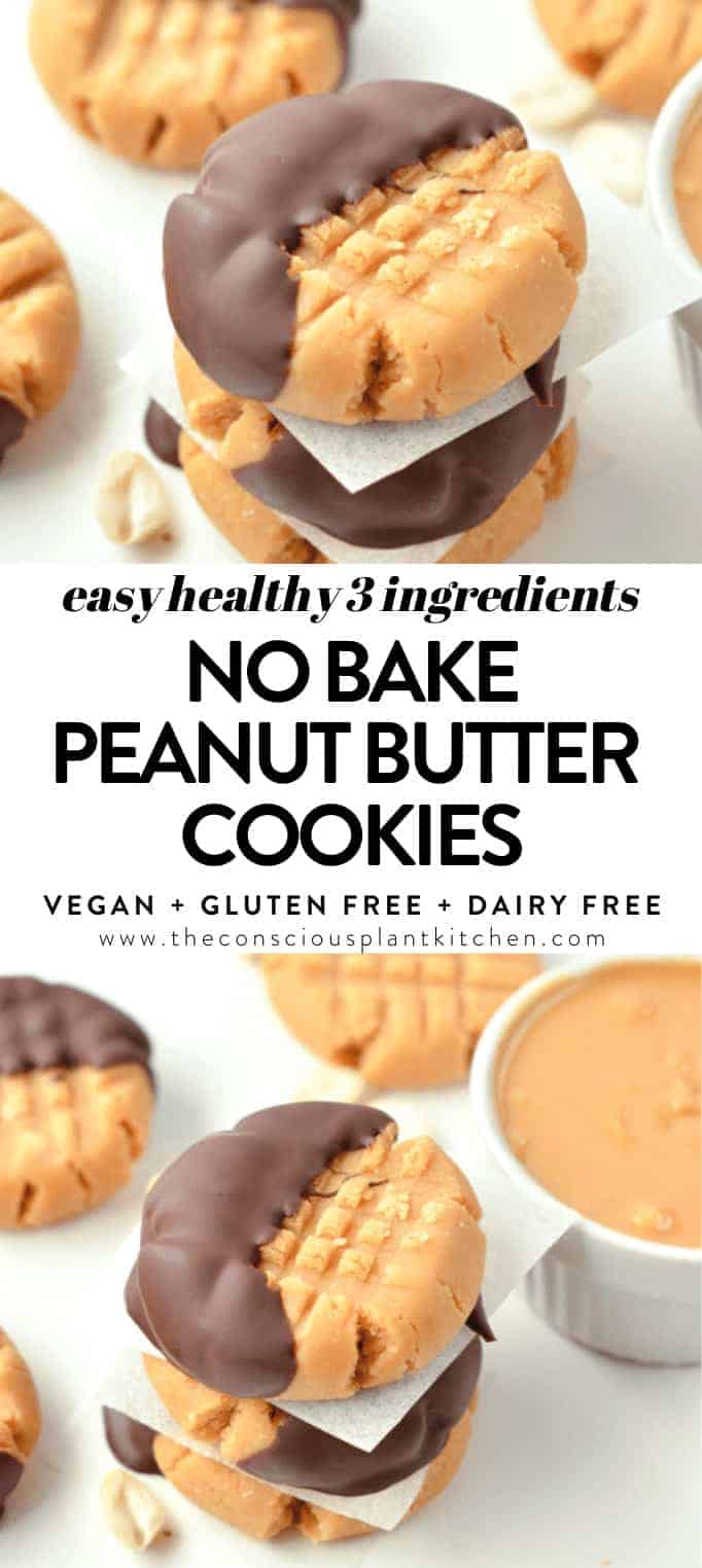 No bake peanut butter cookies 3 ingredients