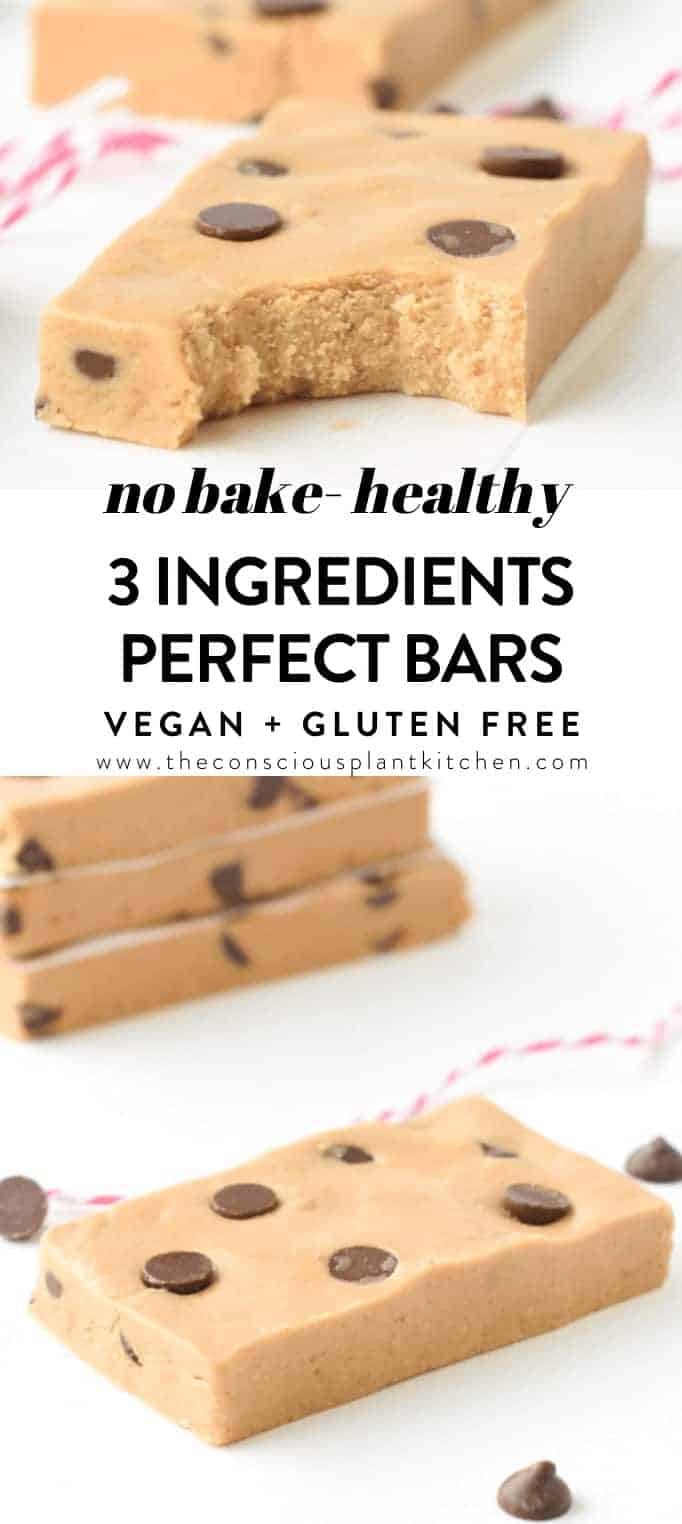 No Bake Healthy Protein Bars