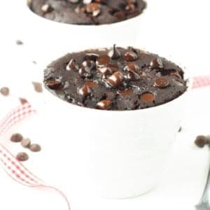 Vegan Chocolate 90-Second Mug Cake