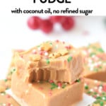 Vegan peanut butter fudge