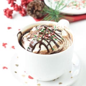 Protein Hot Chocolate with Protein Powder (4 Ingredients)