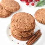 Vegan gluten free snickerdoodle