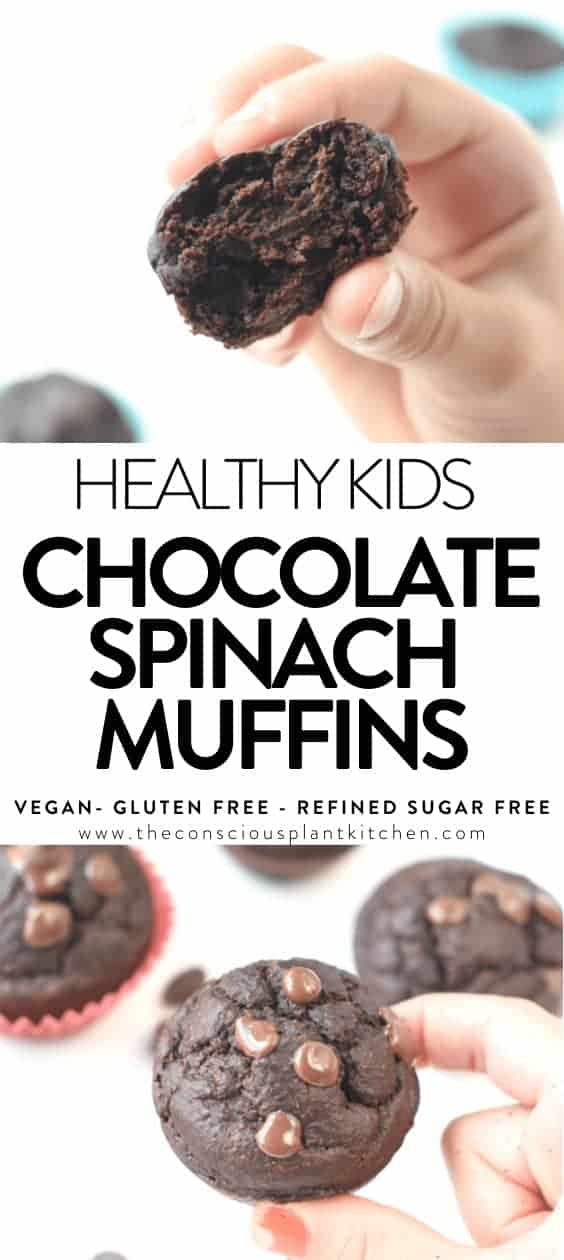 Chocolate Spinach Muffins