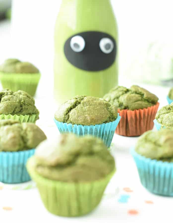 Monster Muffins Toddler