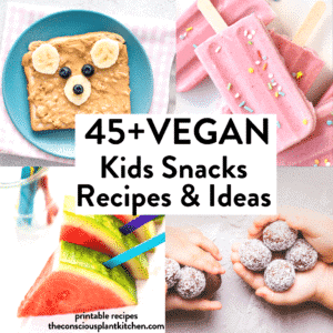 45+ Vegan Snacks for Kids