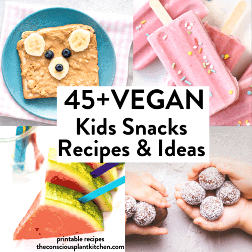 Vegan kid snacks recipes