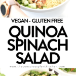 Healthy quinoa salad