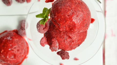 Sugar-Free Raspberry Sorbet Recipe (Only 4 Ingredients!) - The Conscious  Plant Kitchen
