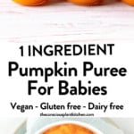 Homemade Pumpkin Puree for babies