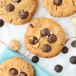 Protein Chocolate Chip Cookies