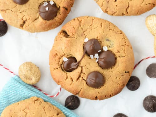 chocolate chip protein cookies recipe