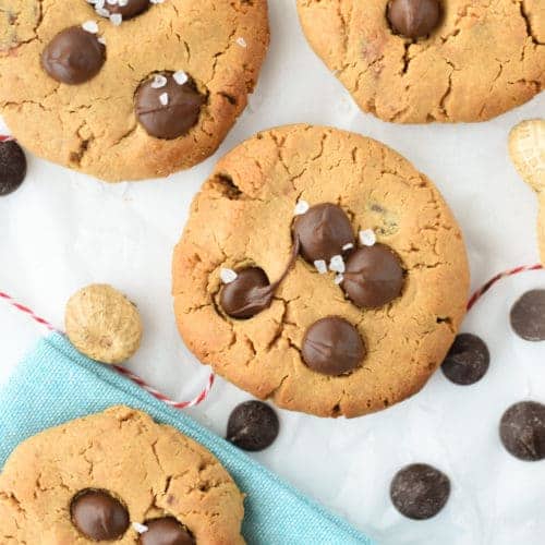 chocolate chip protein cookies recipe