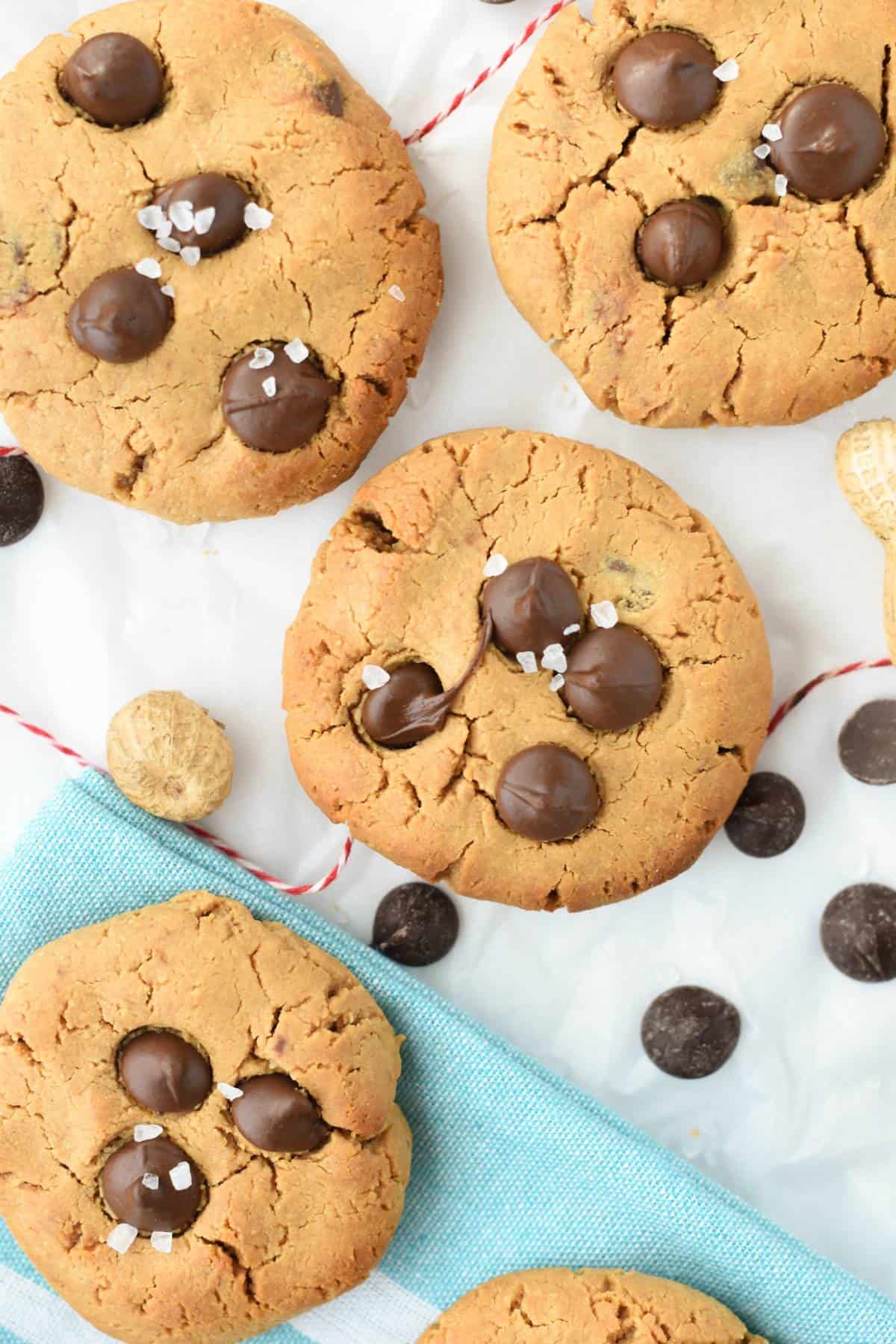 chocolate chip protein cookies recipe