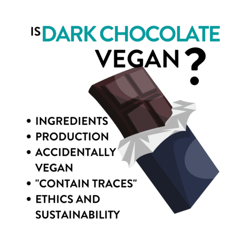 Is Dark Chocolate Vegan