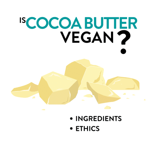 Is Cocoa Butter Vegan?