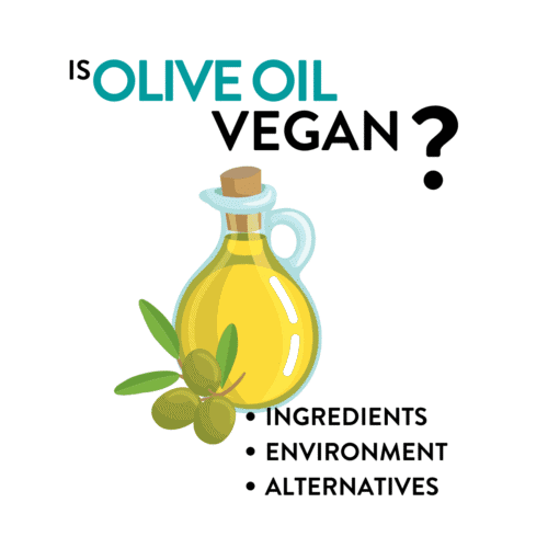 Is Olive Oil Vegan