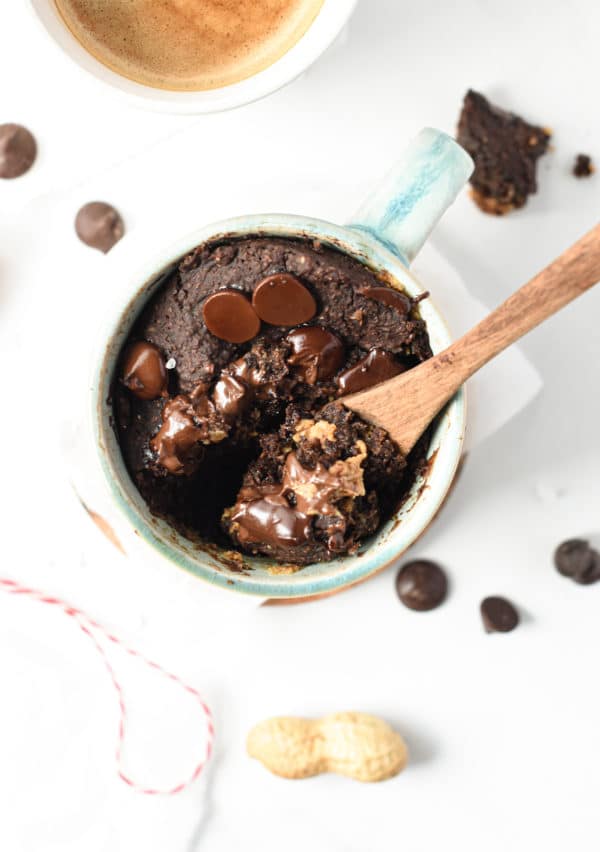 Protein Powder Mug Cake (16g Protein, No Sugar, No Eggs) The
