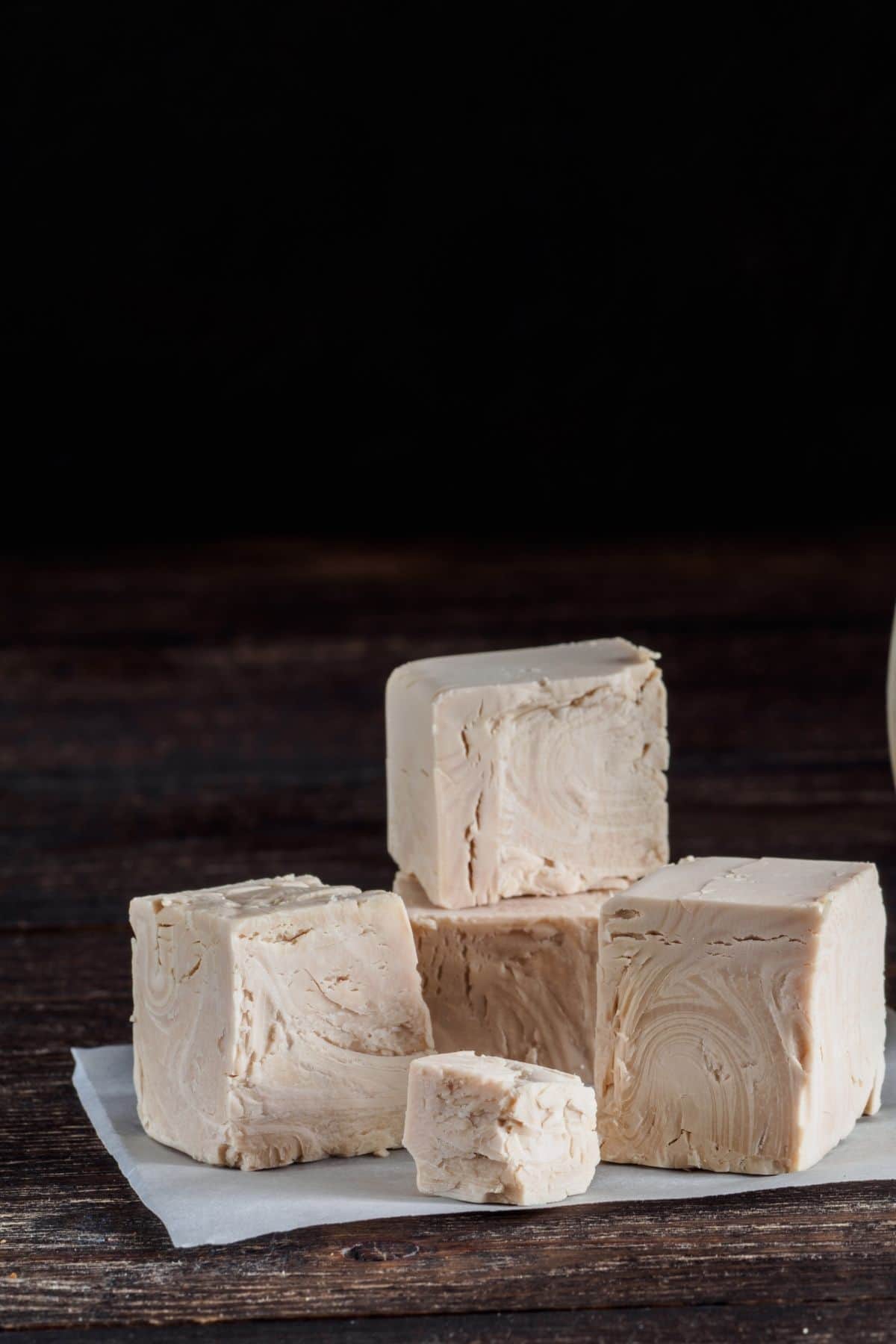 Fresh Yeast Blocks