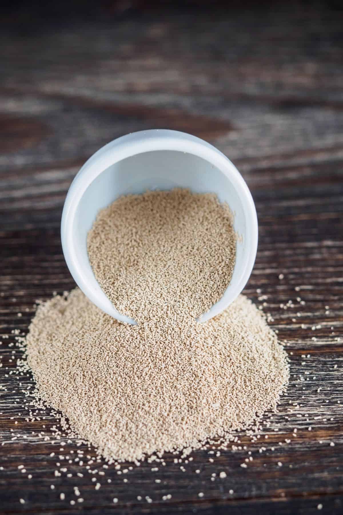 Dry Yeast in a bowl