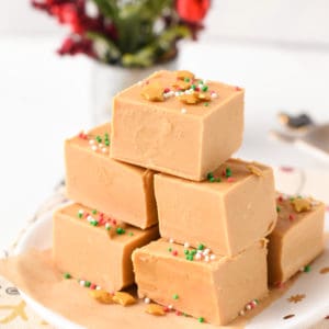 2 ingredient Peanut Butter Fudge vegan, gluten free easy dairy free keto friendly the conscious plant kitchen