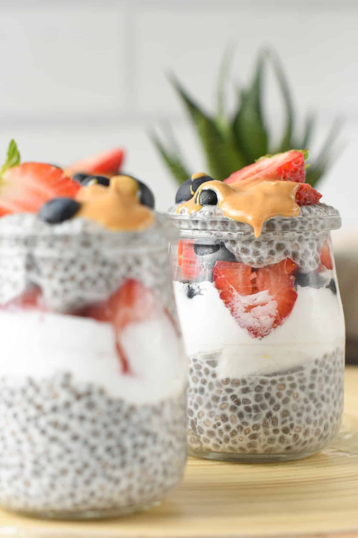 3 Ingredient Chia Pudding with Almond Milk Low Carb Vegan Dairy free