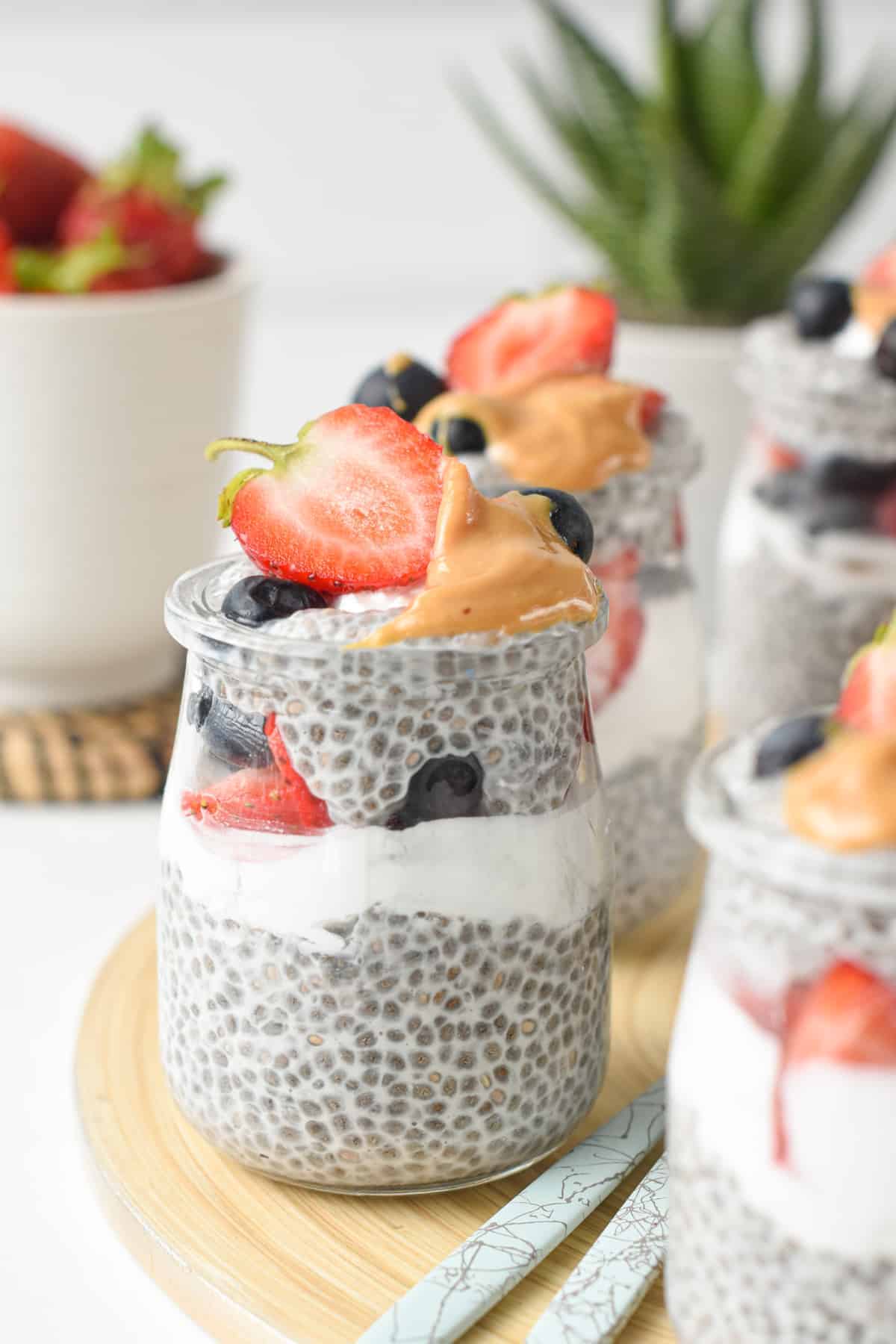 3 Ingredient Chia Pudding with Almond Milk Low Carb Vegan Dairy free