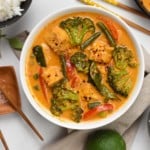 Tofu Red Curry Vegan Thai Curry with Tofu Vegetable