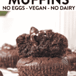 Chocolate Protein Muffins Chocolate Protein Muffins