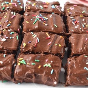 Protein Brownies Recipe (Egg-Free, 100 kcal, 6g Protein)