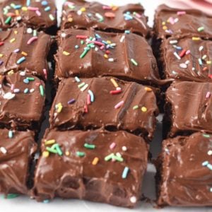 Protein Powder Brownies