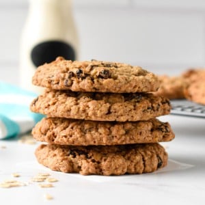 Vegan Oatmeal Raisin Cookies