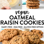 Vegan Oatmeal Raisin Cookies