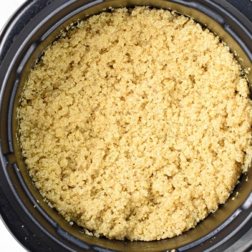 How To Cook Quinoa In A Rice Cooker - The Conscious Plant Kitchen