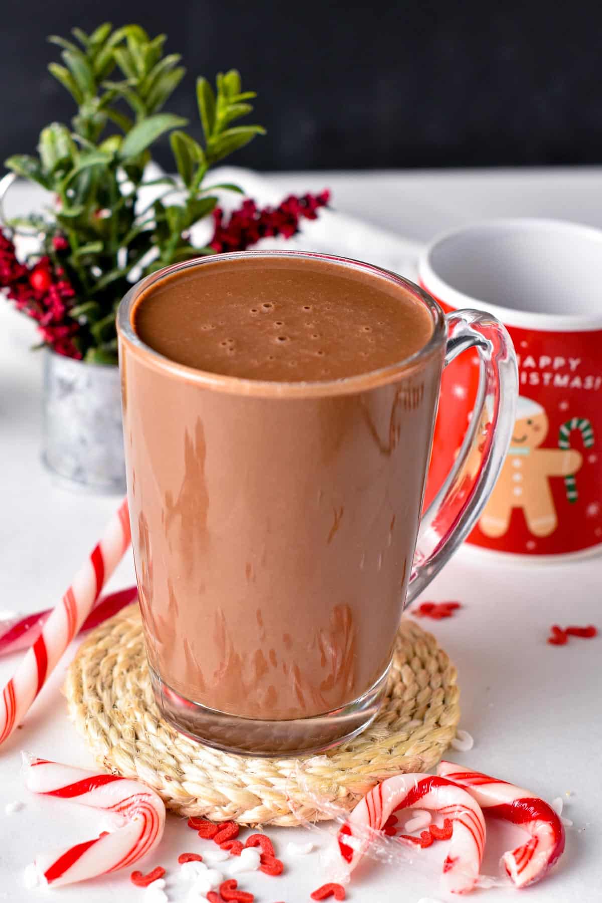 Peppermint Hot Chocolate in a mug with a branch in a vase on the background.