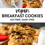 These Vegan Breakfast Cookies are crunchy, healthy oatmeal cookies made in 1-bowl, using only natural wholesome plants. They are packed with proteins, fiber and makes a delicious on the go breakfast in the morning.