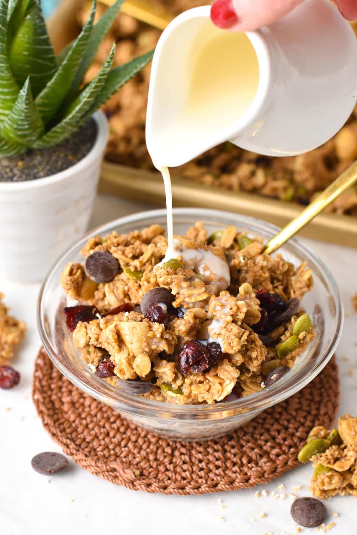 This homemade Steel Cut Oats Granola recipe is an easy, healthy crunchy granola recipe packed with proteins and fiber.