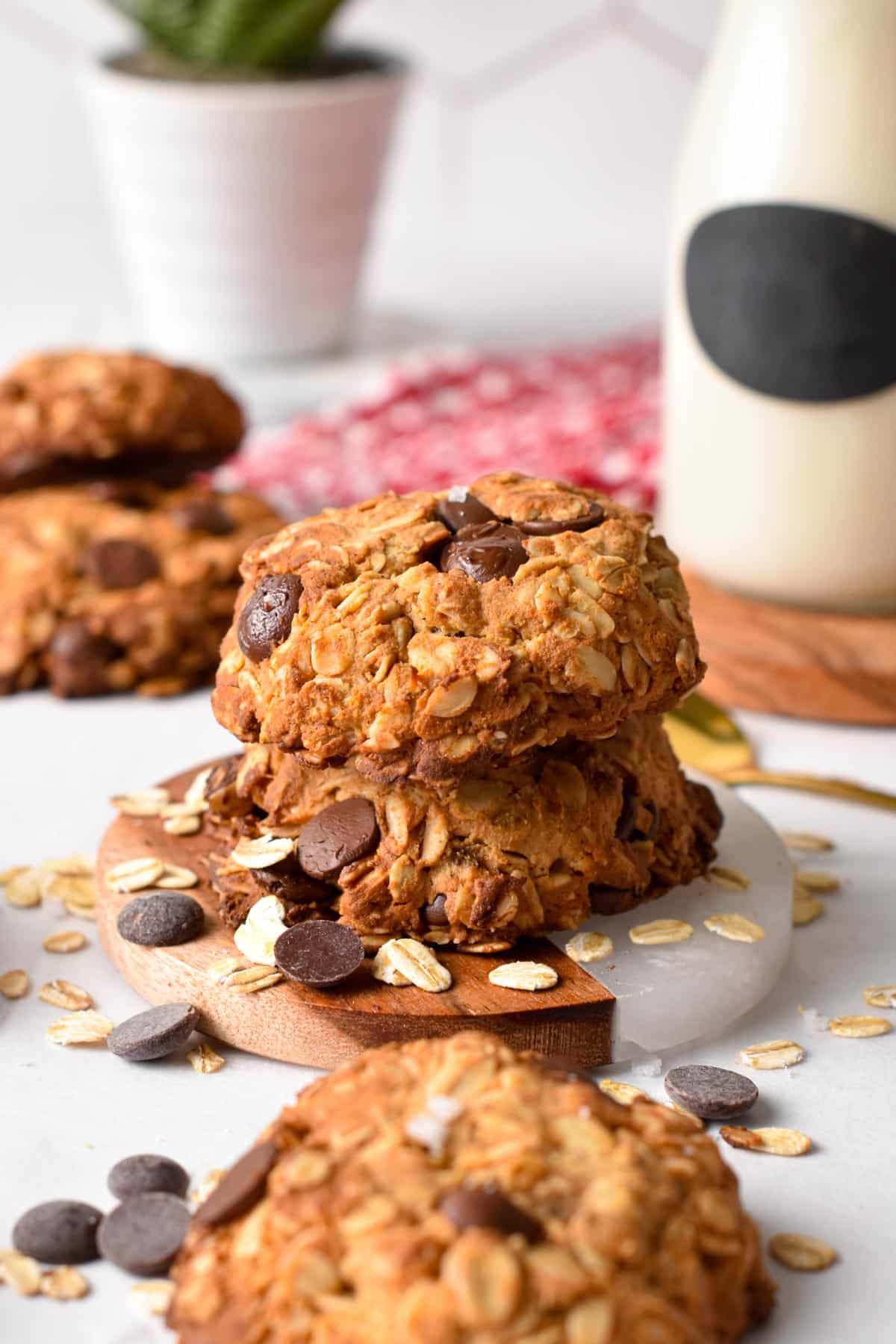 These Protein Oatmeal Cookies are easy oatmeal cookies packed with 14 grams of protein and a delicious banana, peanut butter, and chocolate flavorThese Protein Oatmeal Cookies are easy oatmeal cookies packed with 14 grams of protein and a delicious banana, peanut butter, and chocolate flavor