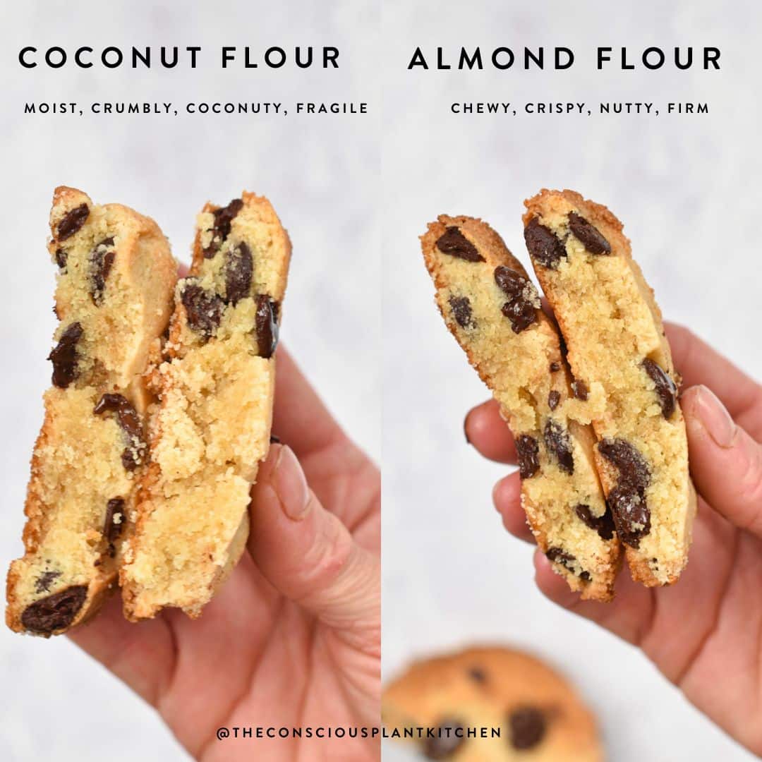 a picture with a hand holding a coconut flour cookie on the left, and an almond flour cocokie on the right. Both cookies are half broken showing their texture and the difference between coconut flour versus almond flour in baking cookies