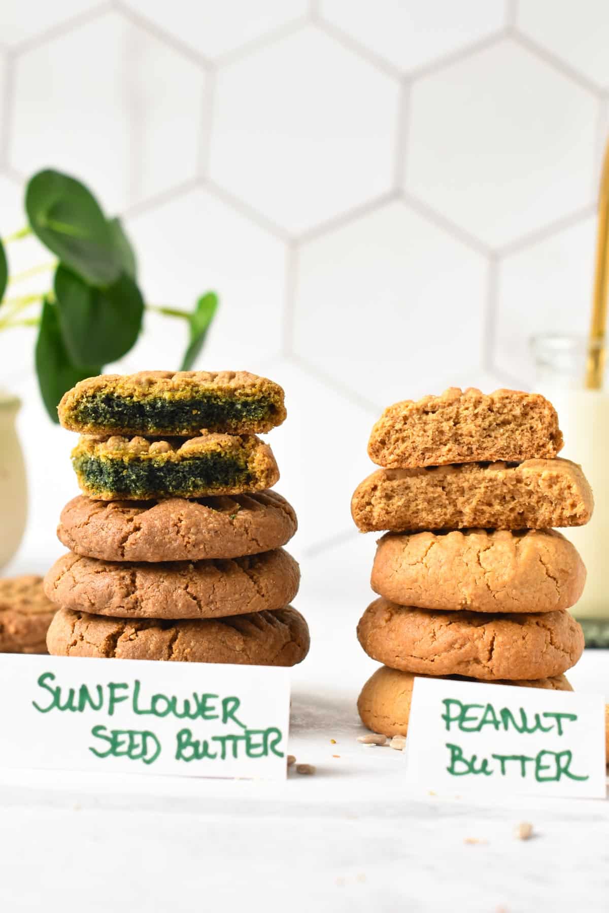 a picture of two stack of cookies one made with sunflower seed butter showing that the inside of the cookies turns green while the other stack of peanut butetr cookie stays golden