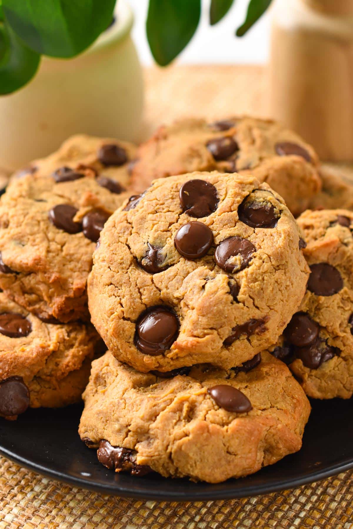 a plate filled with lots of peanut butter chickpea cookies with chocolate chips and a green plant in the background