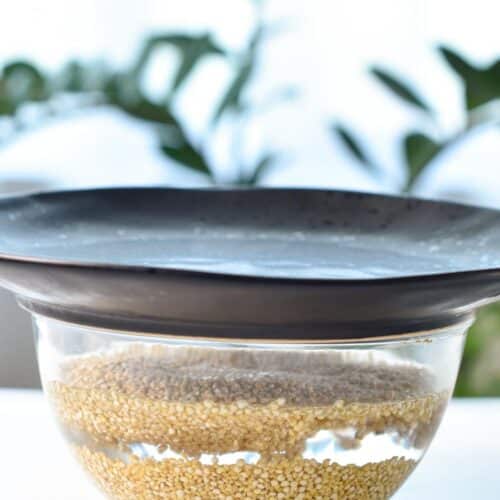 a picture of a glass bowl with quinoa soaking in water