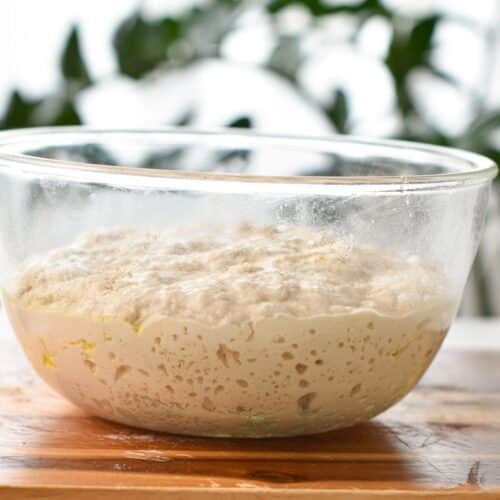 a glass mixing bowl with raised bread dough full of bubbles.