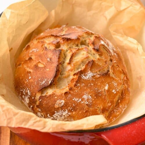 a crusty artisan bread loaf baked in a red dutch-oven pan