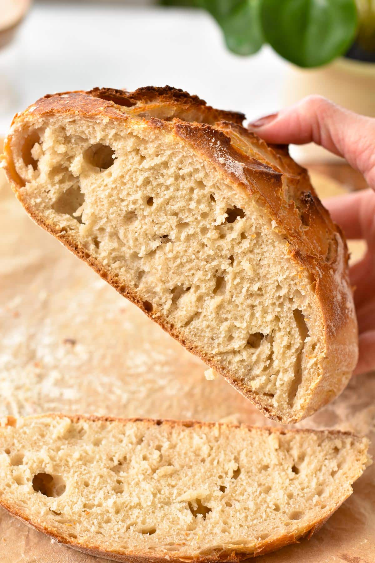 A hand holding a sliced loaf of artisan bread showing the texture of the bread crumb.