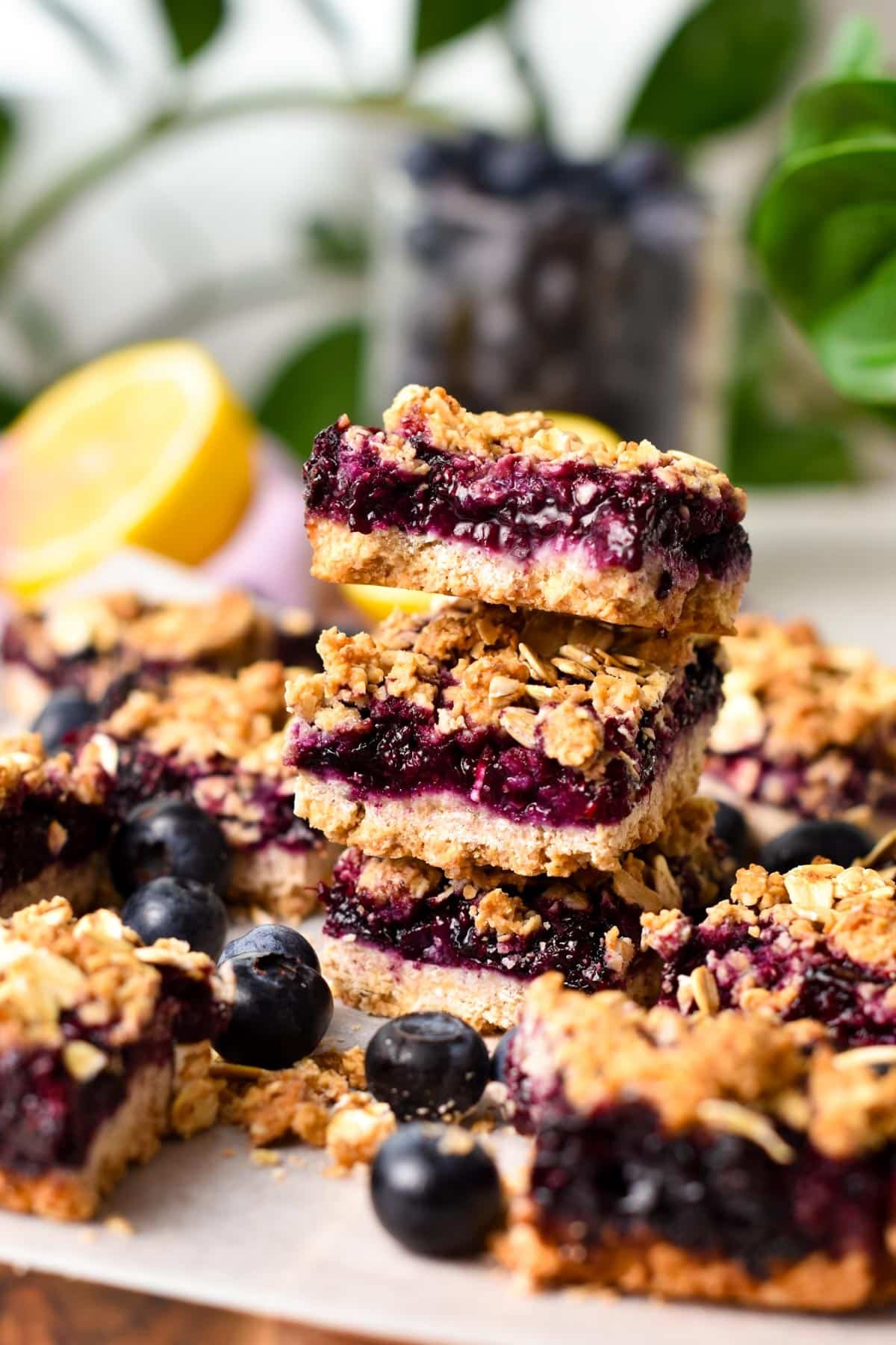 A stack of 3 blueberry oatmeal bars with lots of squares of crumble bars around and a green plant in the background.