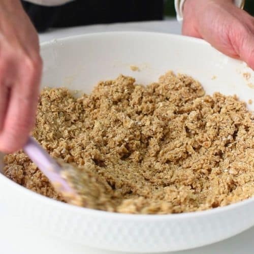 Combining the Blueberry Breakfast Bar crust in a mixing bowl.