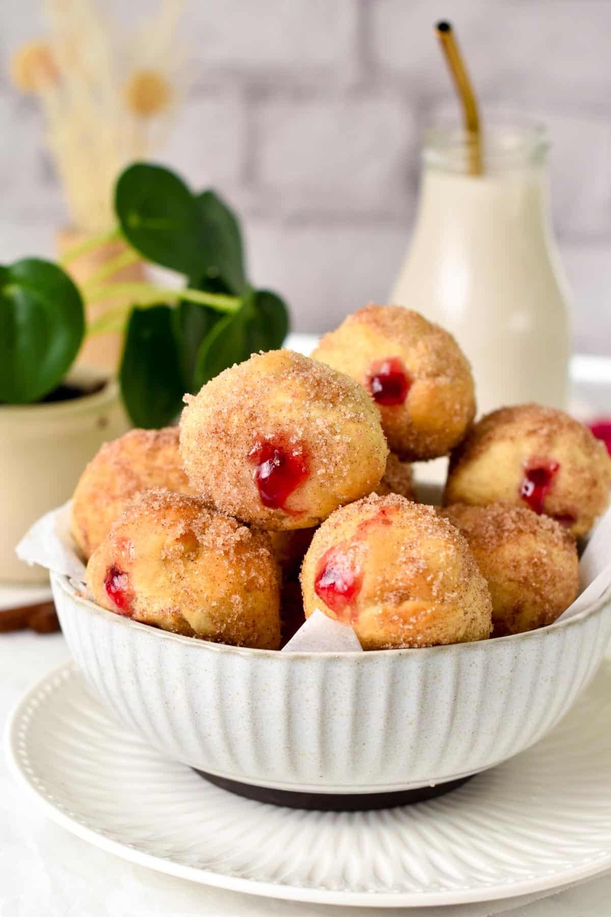 A bowl filled with jelly filled donut holes coated with cinnamon sugar and a green plant in the background.